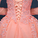 ball gown appliques beading long sleeve modest prom gowns saudi arabia muslim