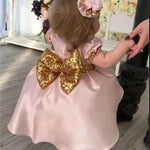 Pink &Ivory Poofy Baby Girl Party Dress First Communion Dress Flower Girl Toddler Gown