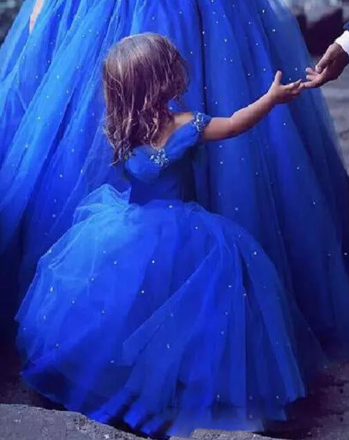 Cinderella Ball Gown Flower Girls Dresses Little Girls Party Gown Pageant Dress for Child SP5595