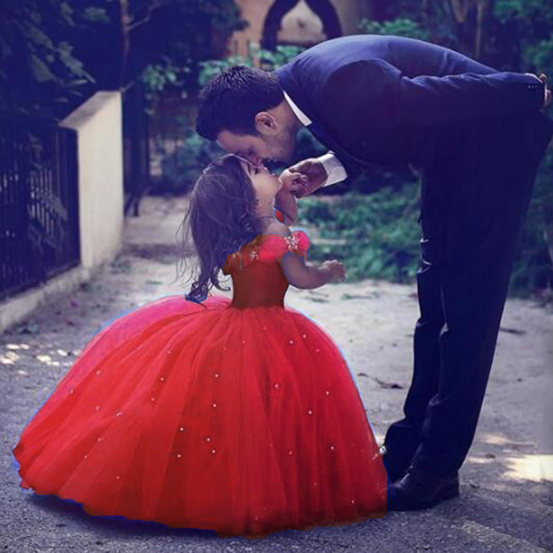 Cinderella Ball Gown Flower Girls Dresses Little Girls Party Gown Pageant Dress for Child SP5595
