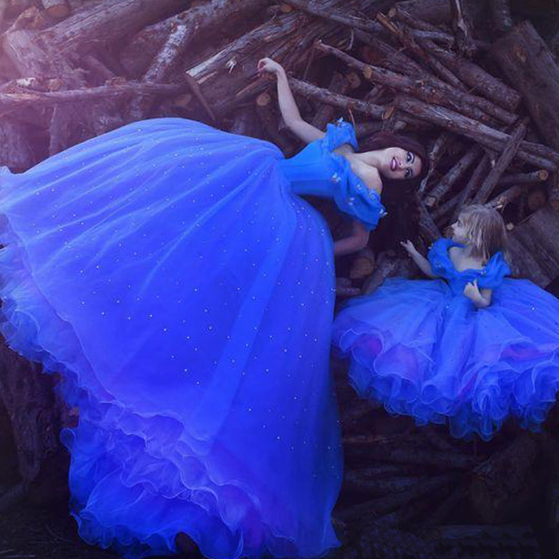 Cinderella Ball Gown Flower Girls Dresses Little Girls Party Gown Pageant Dress for Child SP5595