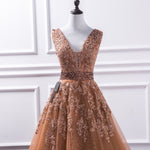 V Neck Tulle Prom Dress Lace Long Gown LP221