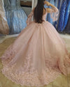 Vintage Lace Pink Ball Gown Brithday Dress for Sweet 16/15 Girls Quinceanera Dresses with Long Sleeves
