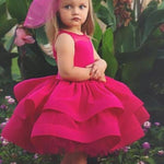 FG154 Ball Gown Flower Girl Dress Child Pageant Dresses,Child Birthday Party Gown