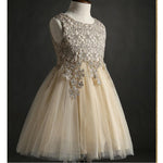 SP2365 Cute Lace Appliqued Champagne Pink Flower Girl Dress,Child Birthday party Gown Knee Length,Ball Gown Communion Gown