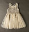SP2365 Cute Lace Appliqued Champagne Pink Flower Girl Dress,Child Birthday party Gown Knee Length,Ball Gown Communion Gown
