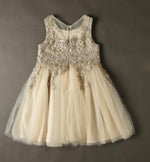 SP2365 Cute Lace Appliqued Champagne Pink Flower Girl Dress,Child Birthday party Gown Knee Length,Ball Gown Communion Gown