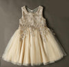 SP2365 Cute Lace Appliqued Champagne Pink Flower Girl Dress,Child Birthday party Gown Knee Length,Ball Gown Communion Gown