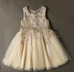 SP2365 Cute Lace Appliqued Champagne Pink Flower Girl Dress,Child Birthday party Gown Knee Length,Ball Gown Communion Gown