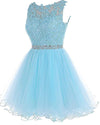 Lovely Sky Blue Lace Puffy Keyhole Back Homecoming Dress Short Prom Dresses with Belt SP10219
