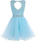 Lovely Sky Blue Lace Puffy Keyhole Back Homecoming Dress Short Prom Dresses with Belt SP10219