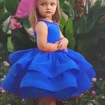 FG154 Ball Gown Flower Girl Dress Child Pageant Dresses,Child Birthday Party Gown