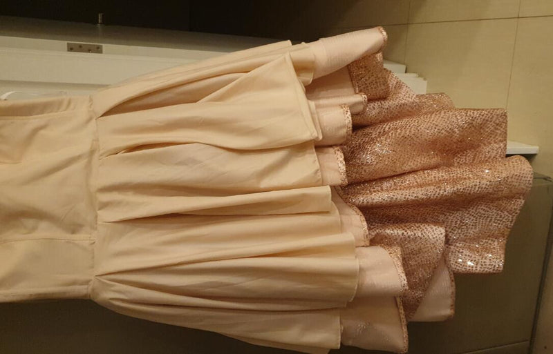 Rose Gold /Champagne Sequins Bling Bling Sparkly Vintage Long Sleeves High Low Party Prom Dresses PL1029